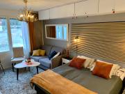 Centrum studio with sauna, Levi