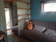 Le voyage de la salamandre