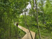 Top Şanţu Floreşti