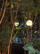 Top Şanţu Floreşti