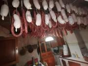 Top Colliano Top Colliano