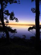 Top Tin Can Bay