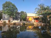 Homestay Sỏi Đá - Tây Ninh
