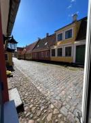 AE302-Aeroskobing-Smedegade-19