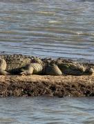 Redstone Cottage Gal Oya