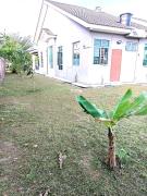 Top Arau