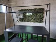 Top Magherasaul Top Magherasaul