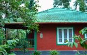 Top Wayanad