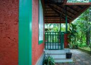 Top Wayanad