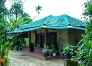 Top Wayanad