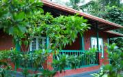 Top Wayanad
