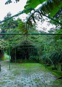 Top Wayanad