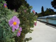 Top Montbrison-sur-Lez