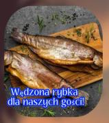 Top Dziwnówek Top Dziwnówek