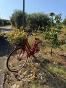 Top Campofelice di Roccella