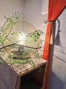 CASA NANACINE Center of Seoul Itaewon, Myungdong, Namsan