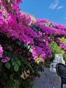 Charmante Villa de vacances