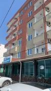 Top Yumurtalık