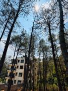 XTSY Family Rooms & Dorms