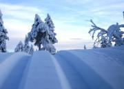 15 - Fulufjellets nasjonalparker - snø - alpint - langrenn - snøscooter