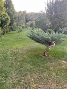 Top Saint-Rémy-de-Provence