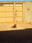 Casa com piscina vista mar 5 min praia 4 quartos