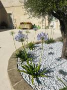 Top Gravina in Puglia