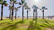 Top Melilla