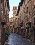 Top Ronciglione Top Ronciglione