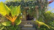 Top Ubud