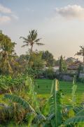 Top Tumbak Bayuh