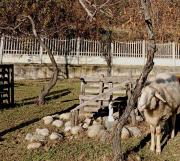 Top Borgo San Dalmazzo