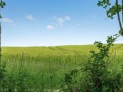 Holiday Home Thorwer - 250m from the sea by Interhome