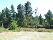 Top Rømø Kirkeby Top Rømø Kirkeby