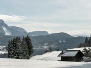 Appartement 2 pièces 4 pers terrasse parking Les Carroz dArâches - FR-1-572-293