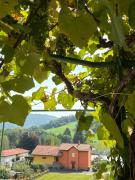 Top Novaggio Top Novaggio