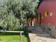 Top Casas del Monte