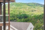 Top Branson