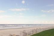 Top New Smyrna Beach
