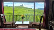 Top Ooty