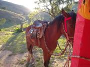 Top Natividade da Serra