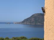 Top Saint-Mandrier-sur-Mer