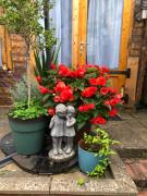 Centrally located in Canterbury