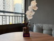 Studio Moderno na Chácara Klabin