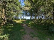 6 person holiday home in Ulfborg