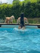 Hostal Sueño Real Campestre