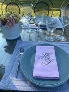 L’hirondelle du Faubourg