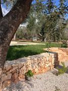 Top San Michele Salentino