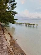 Homestay Yenbeyar Raja Ampat