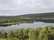 Top Lairg